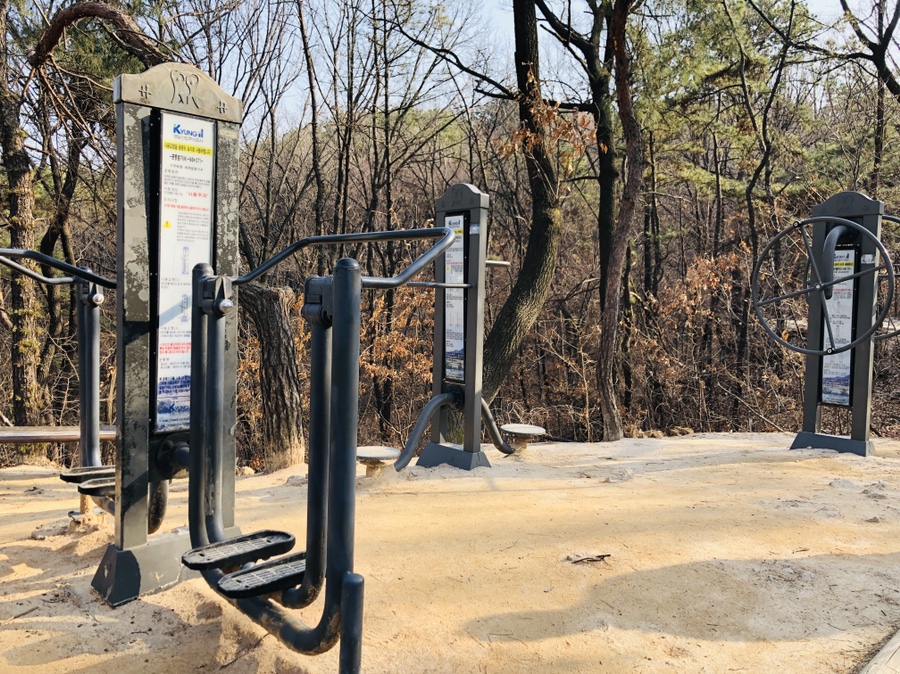 오패산 유아숲체험원 이미지
