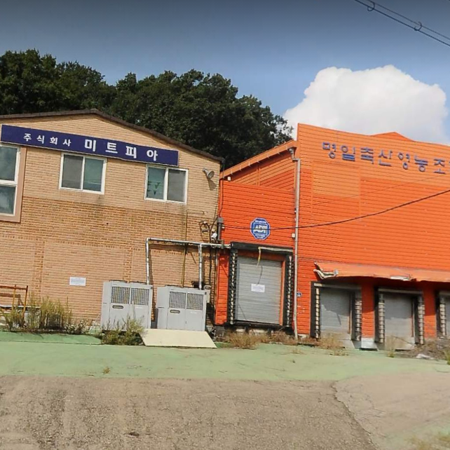미트피아 이미지