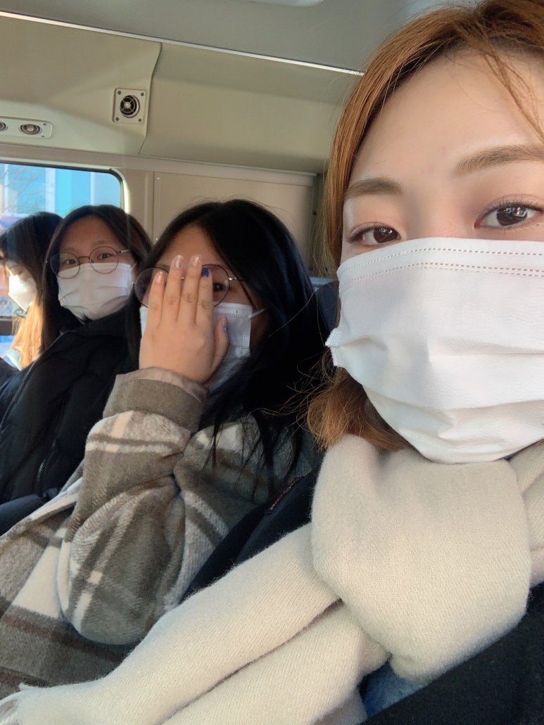 꼬마마리스시 이미지