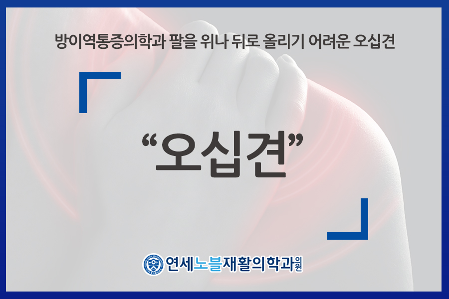 연세노블재활의학과의원 이미지
