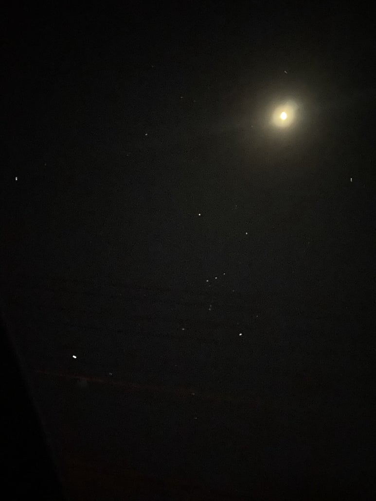 보광산관광농원 이미지
