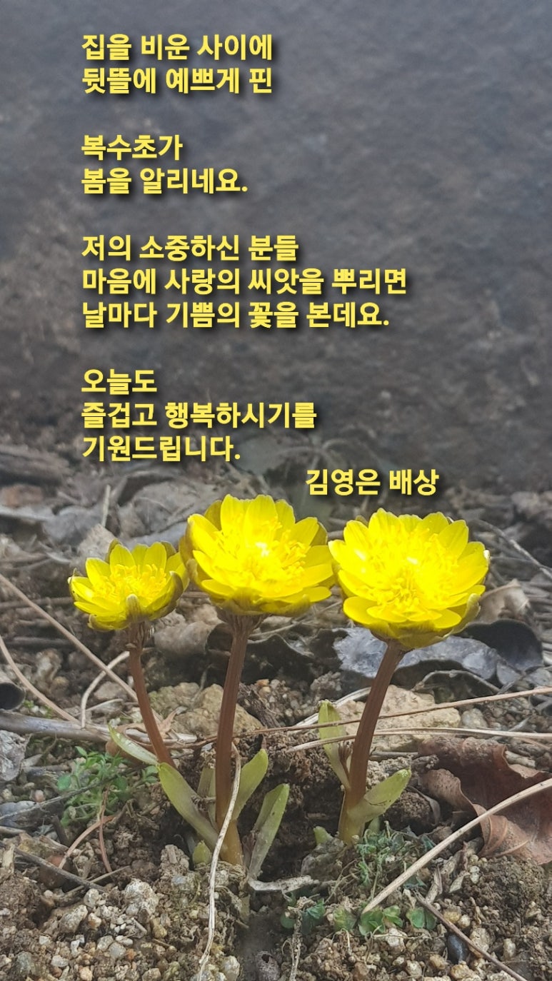 봄.봄미장 이미지