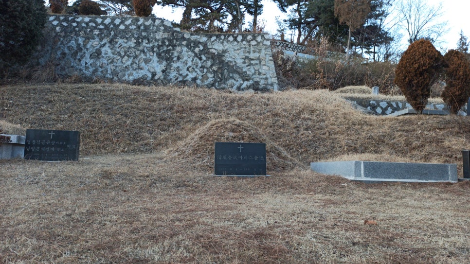 희망개발장묘 이미지