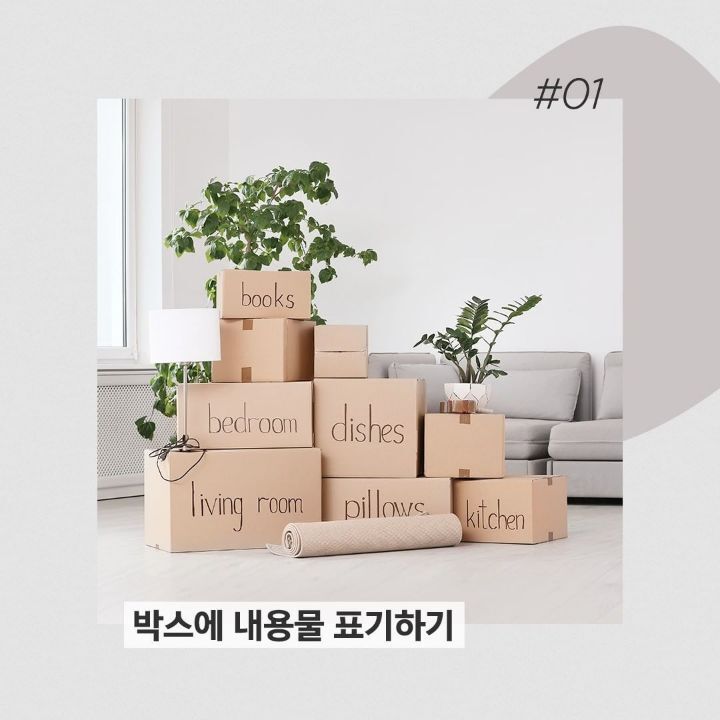 나이스이삿짐 이미지
