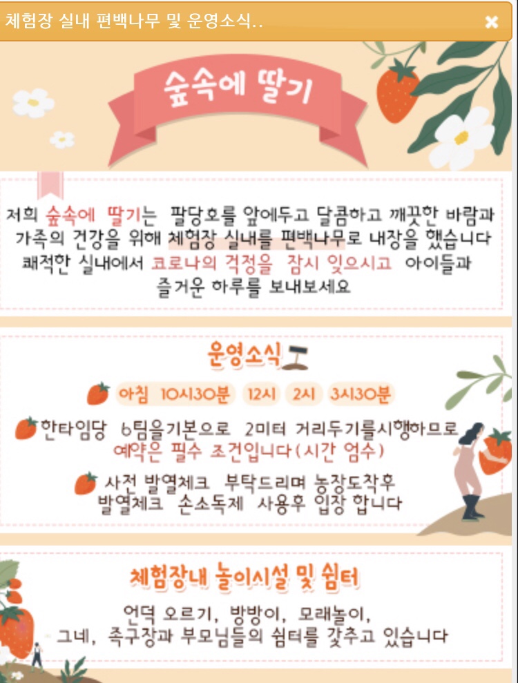 숲속에 딸기 이미지