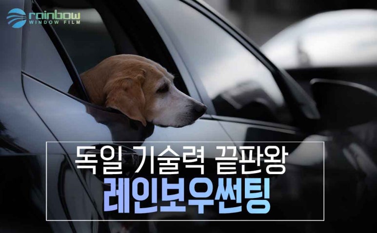태안시트카바사 이미지