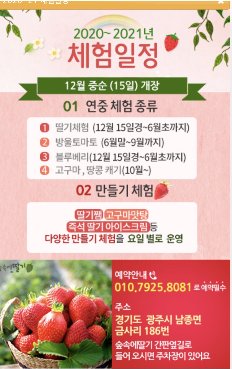 숲속에 딸기 이미지