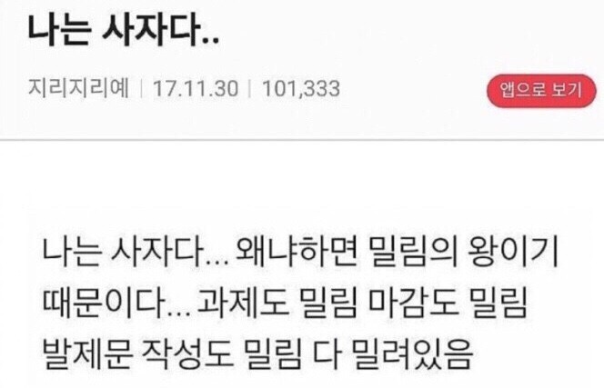 다밀림 이미지