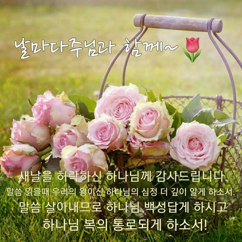 축복의통로 이미지