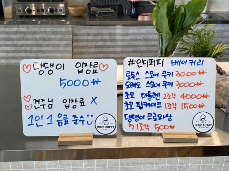 인디퍼피 이미지