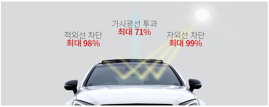 멀티카튠 이미지