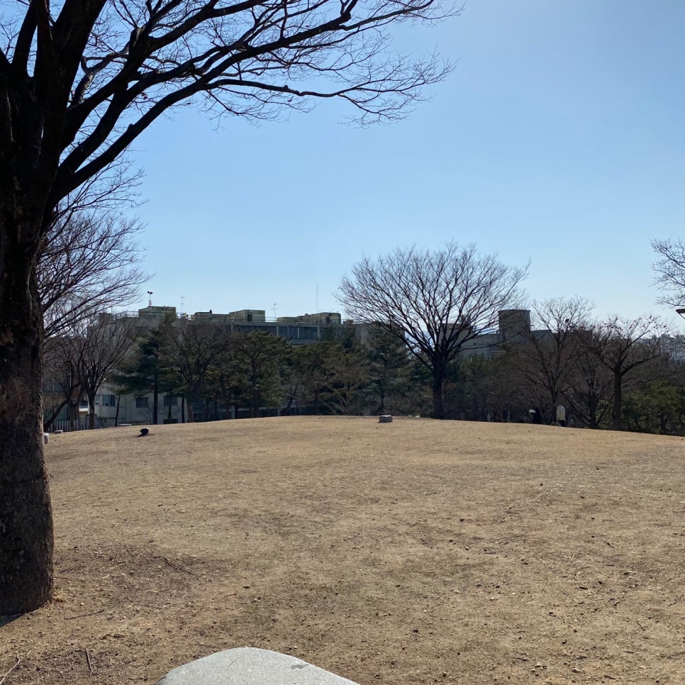 신암공원 이미지