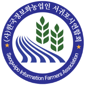 선식이네 귤점빵 이미지