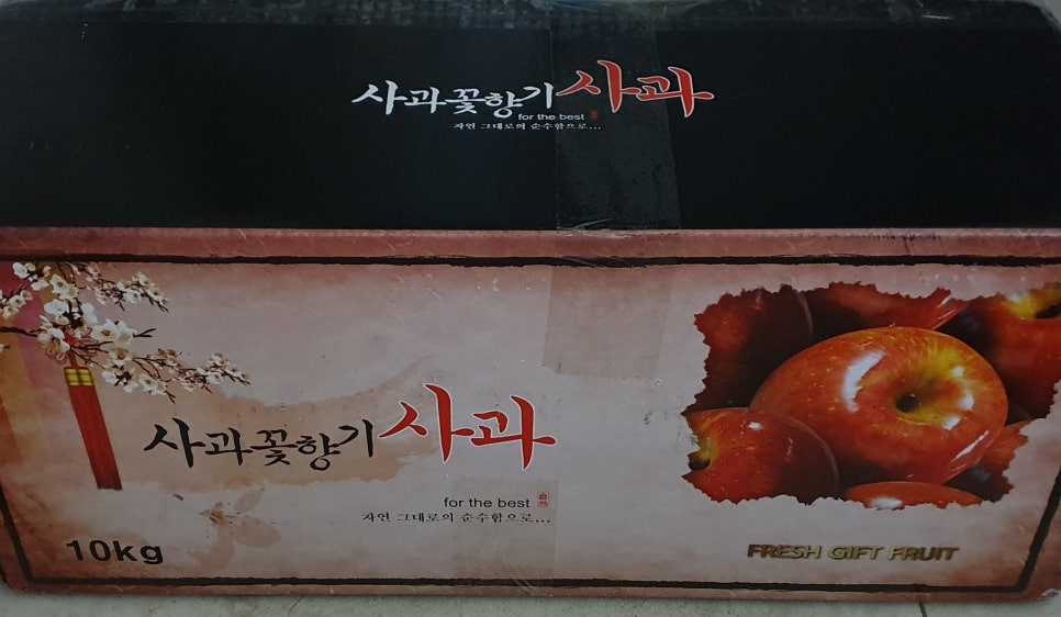 룸빠빠 이미지