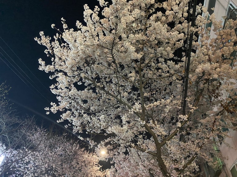아울렛DC 이미지