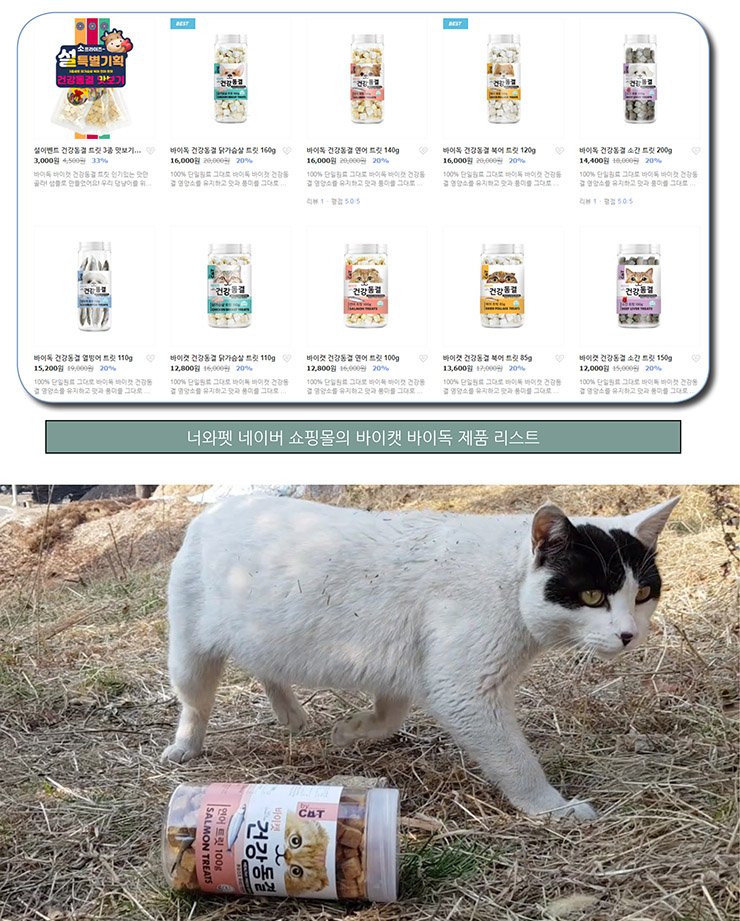 바이켓 이미지