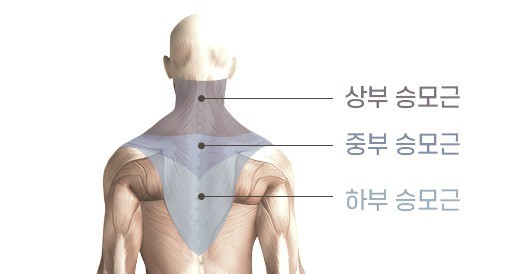 나의근육사용설명서 이미지