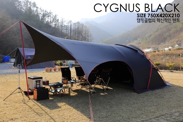 시그너스(Cygnus) 이미지