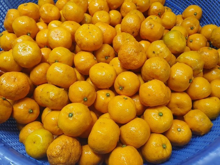 (주)아마란스 이미지