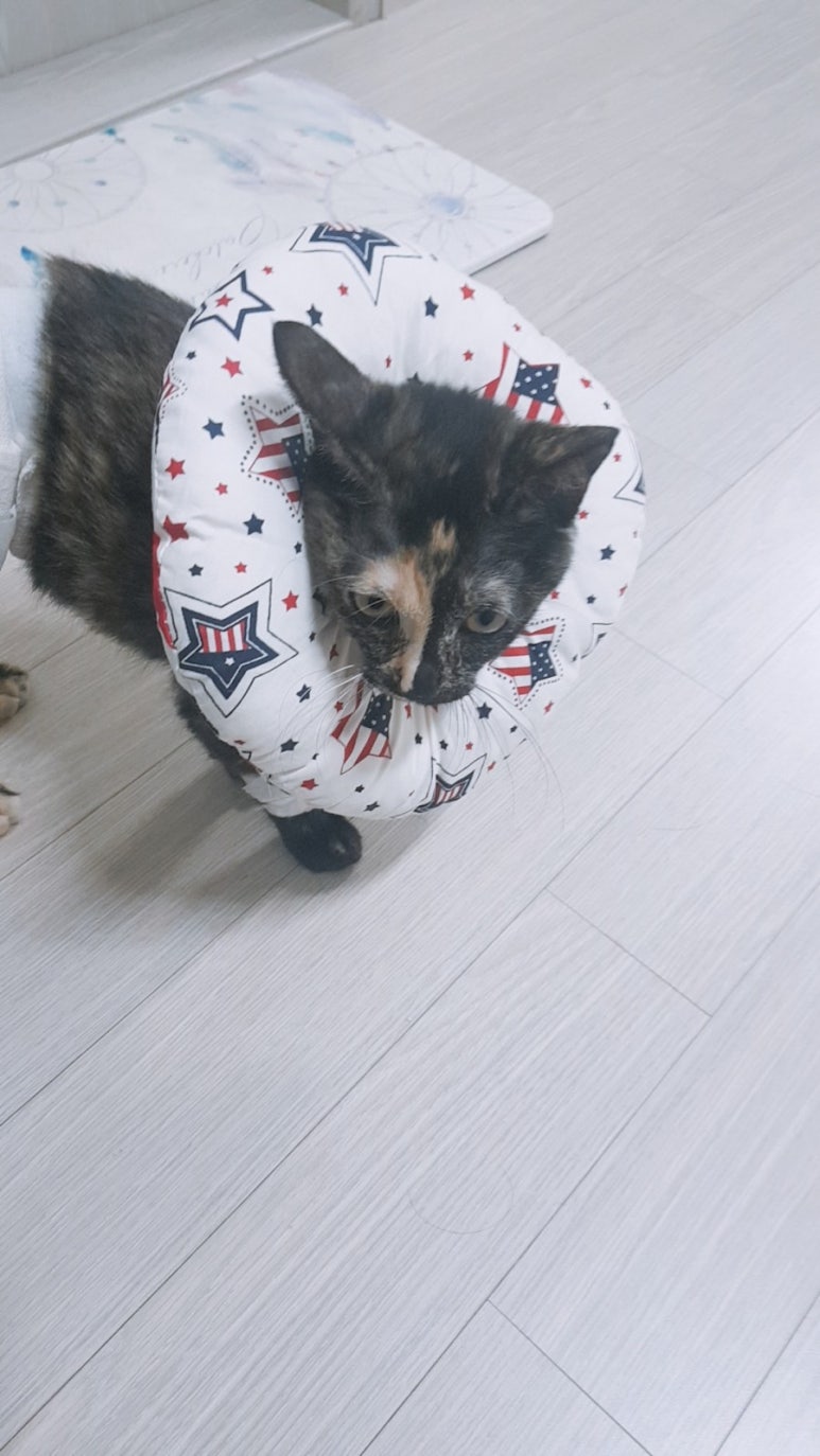 마미킴 이미지