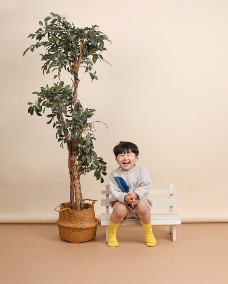 봄날사진관 이미지