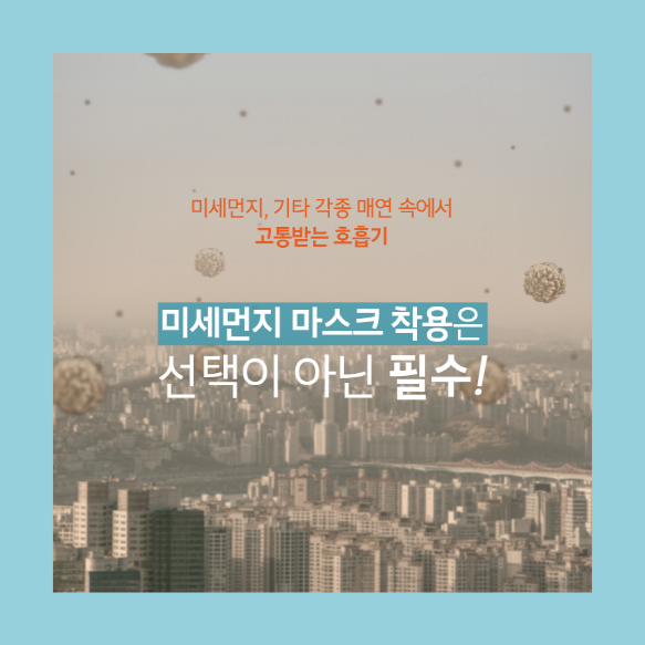 스킨스피어 이미지
