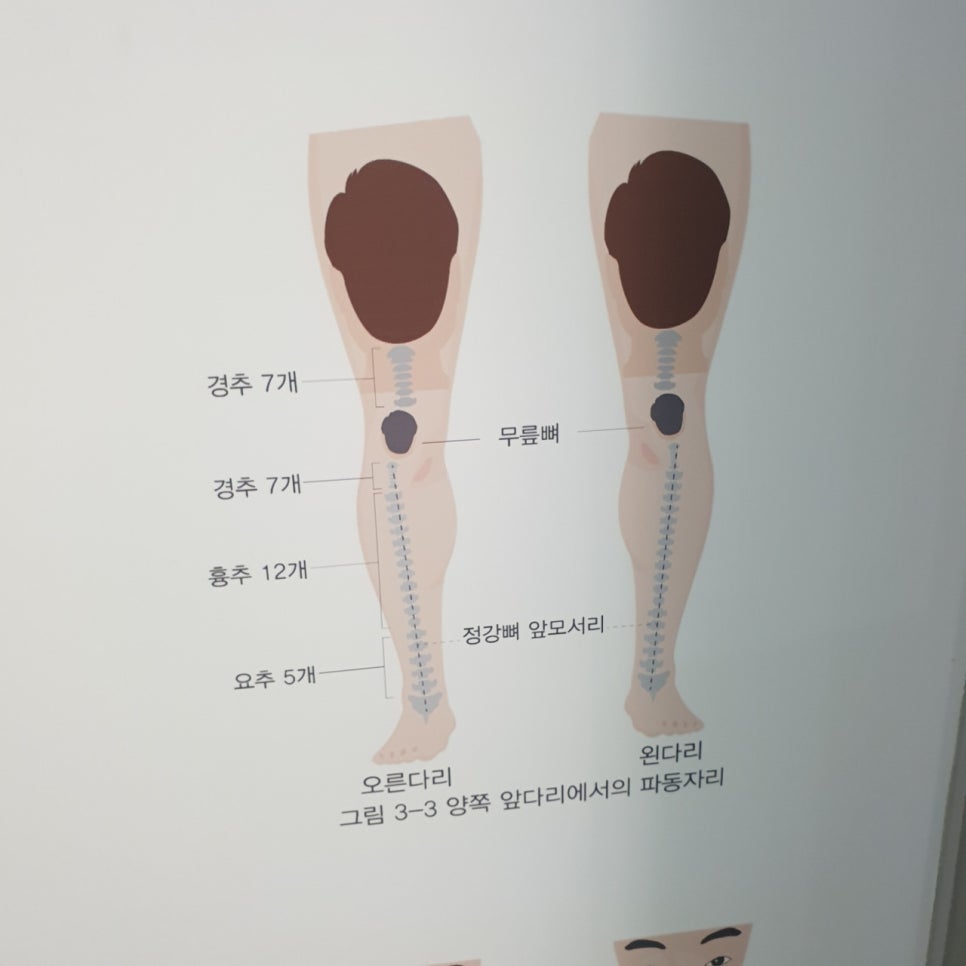 종부테라피 이미지