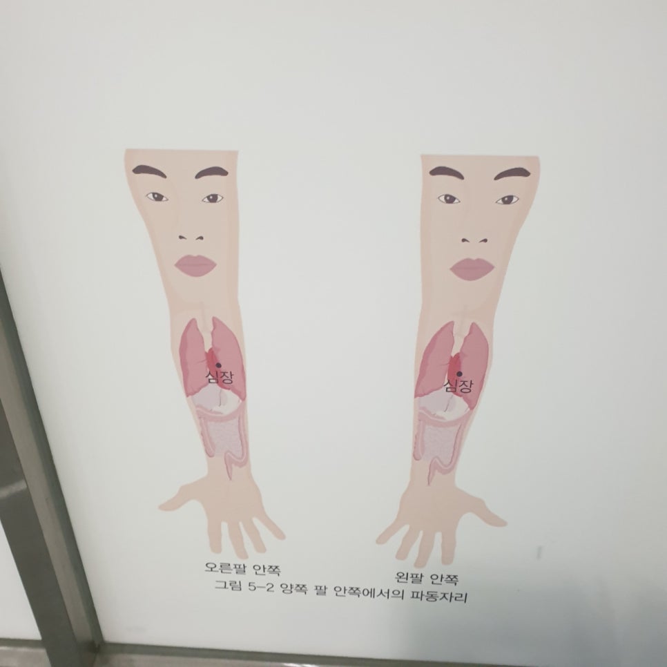 종부테라피 이미지