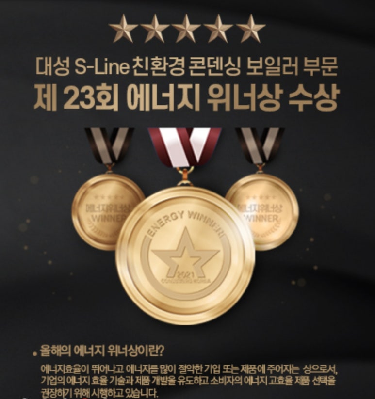 대성쎌틱에너시스(주) 이미지