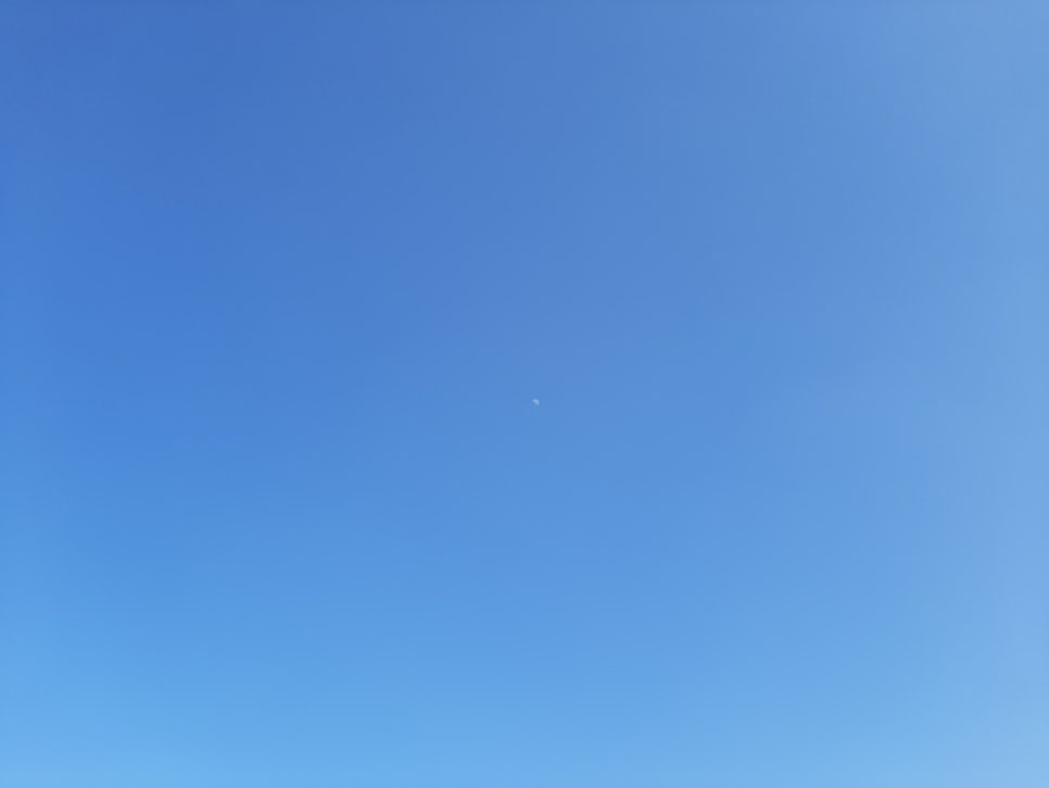 세라핌모아 이미지