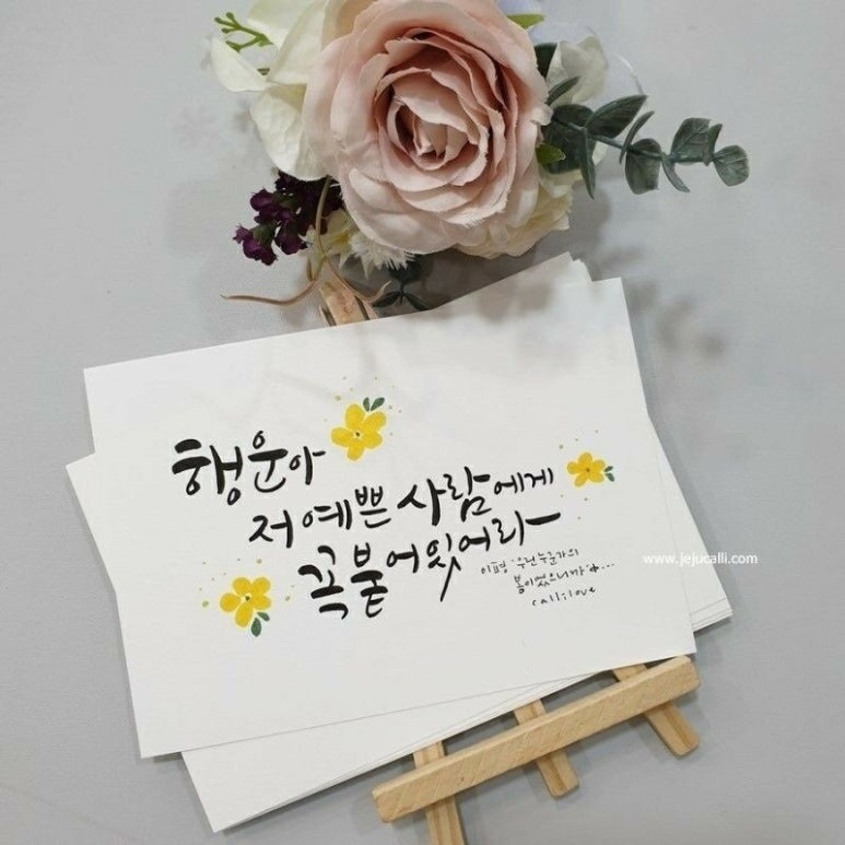 쿡플러스 이미지