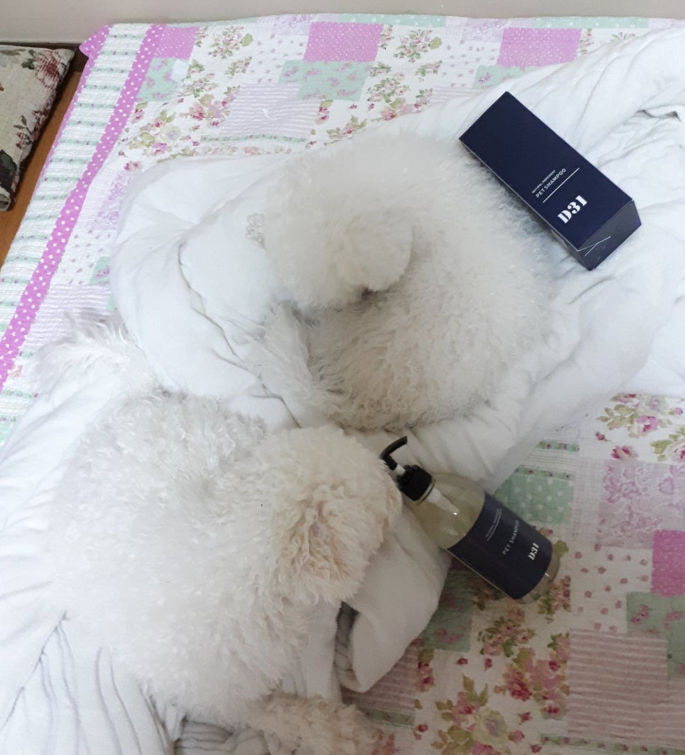 제이와이랩 이미지