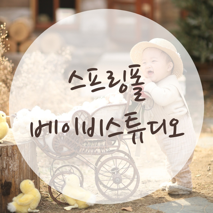스프링폴스튜디오 이미지