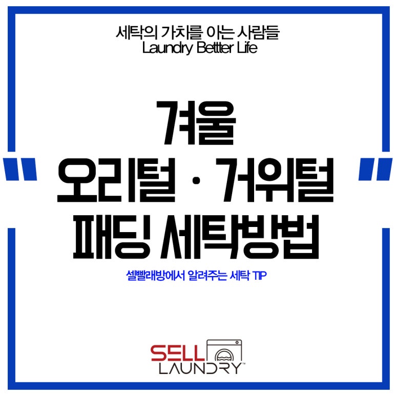 셀빨래방 이미지