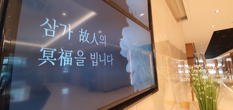 나비상조 이미지