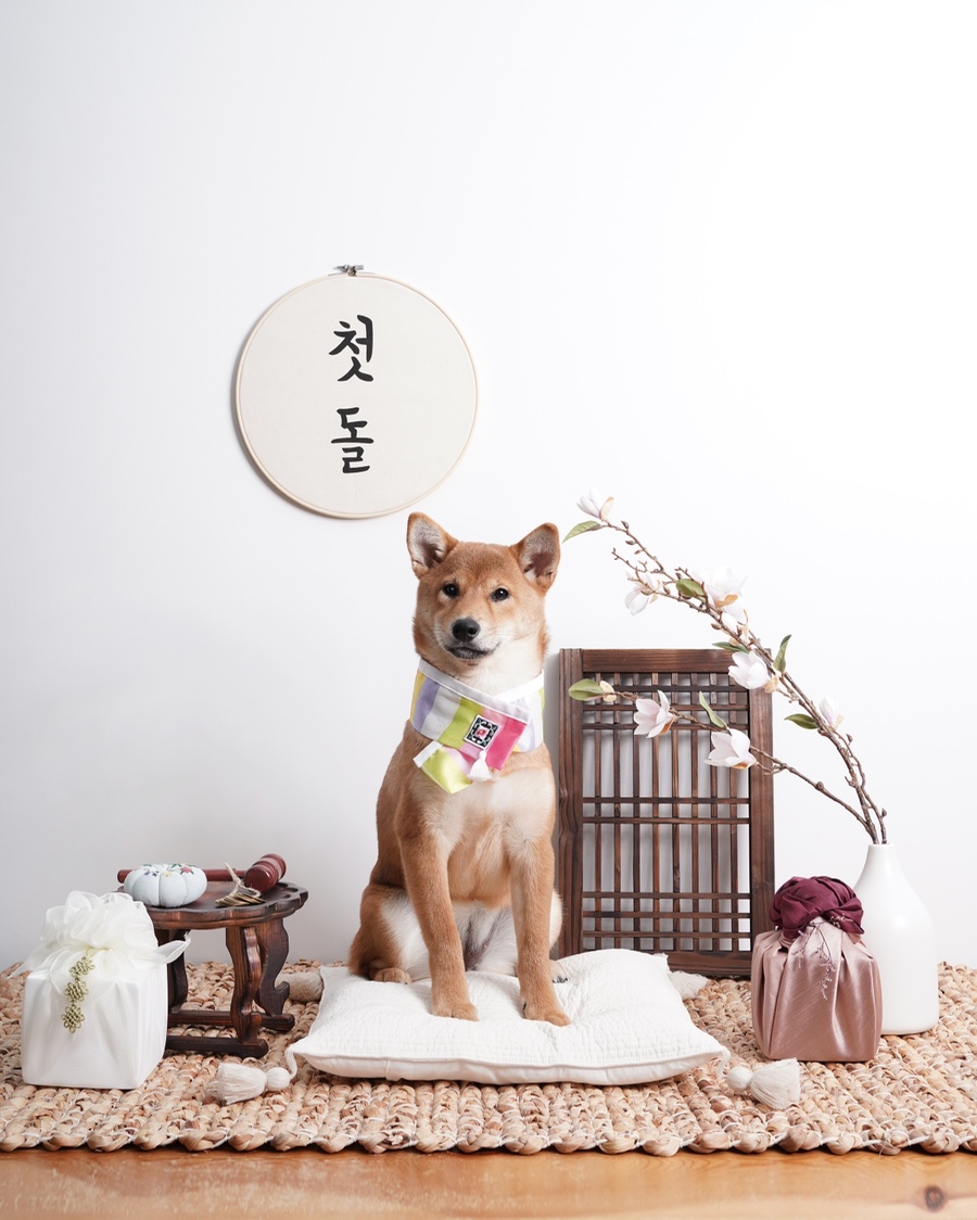 데이스튜디오 이미지