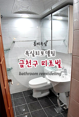 미르빌 이미지