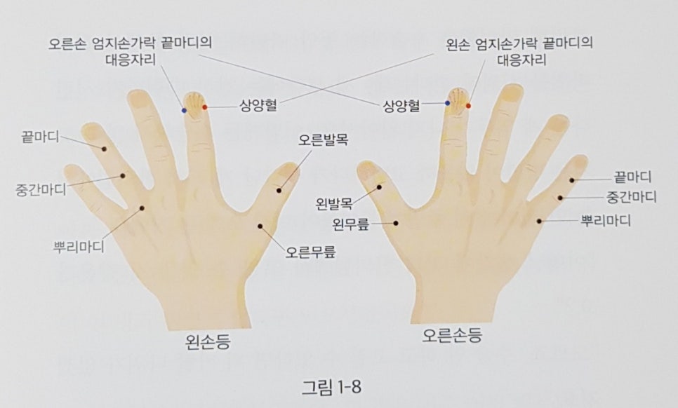 종부테라피 이미지