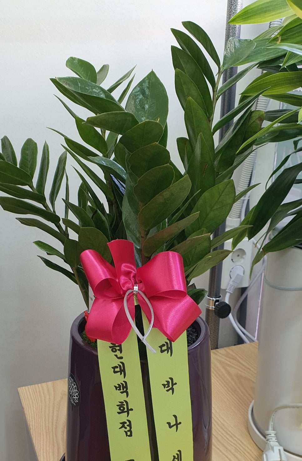 지인수선전문 이미지