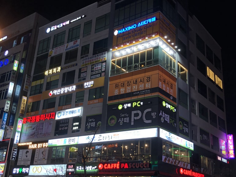 멕시모스터디카페 이미지