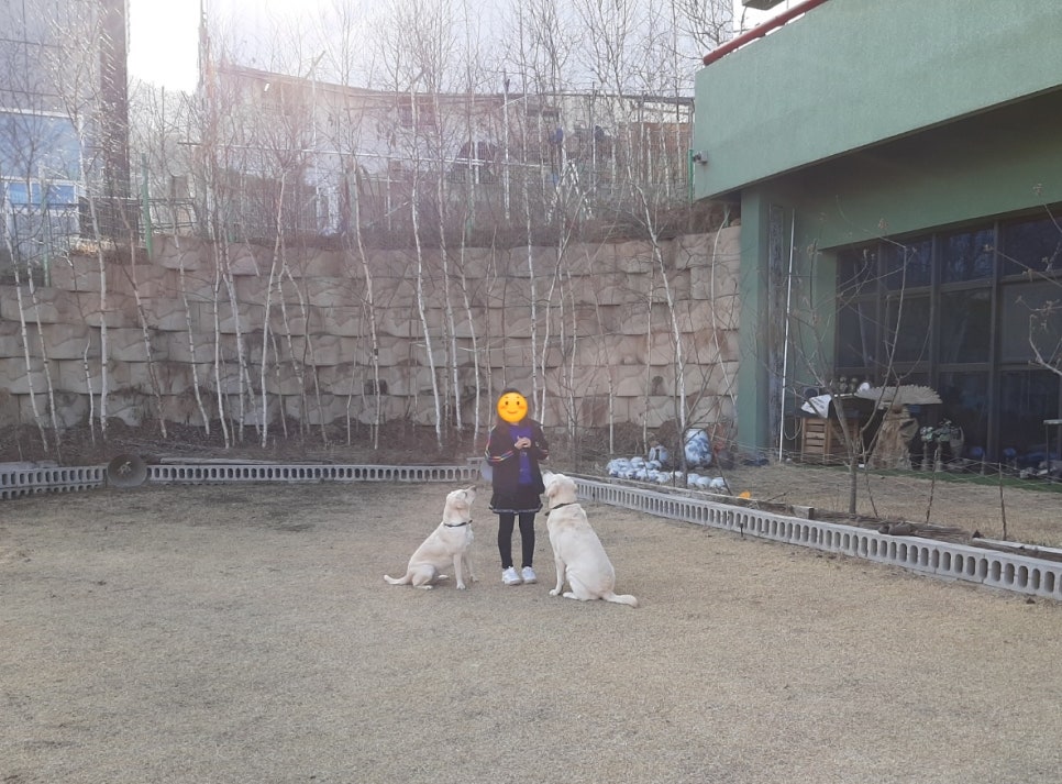 세라핌모아 이미지