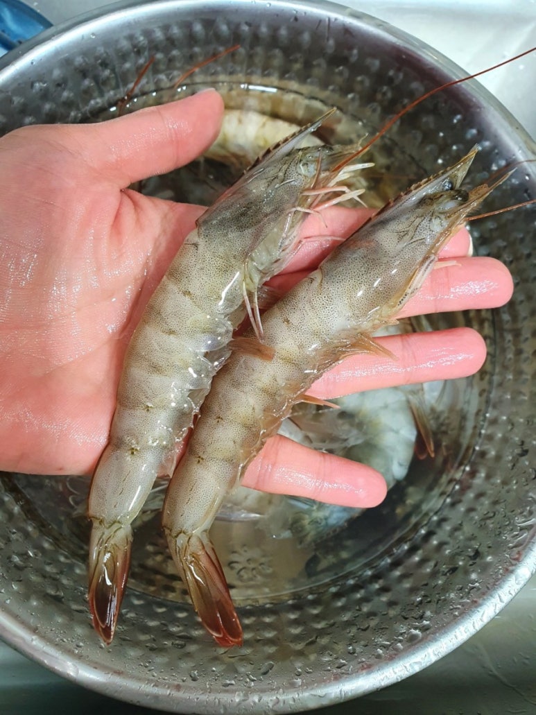우림수산 이미지