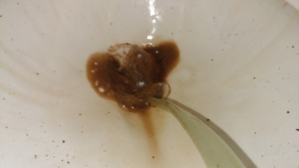 오케이청소 이미지