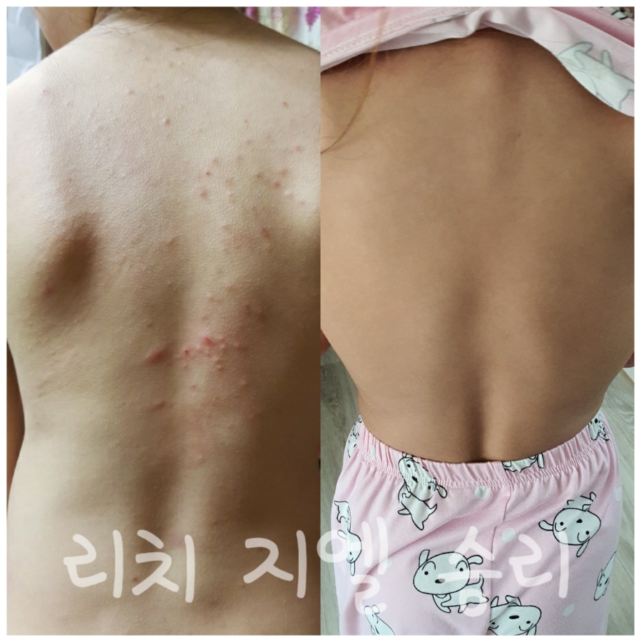 지엘화장품 이미지