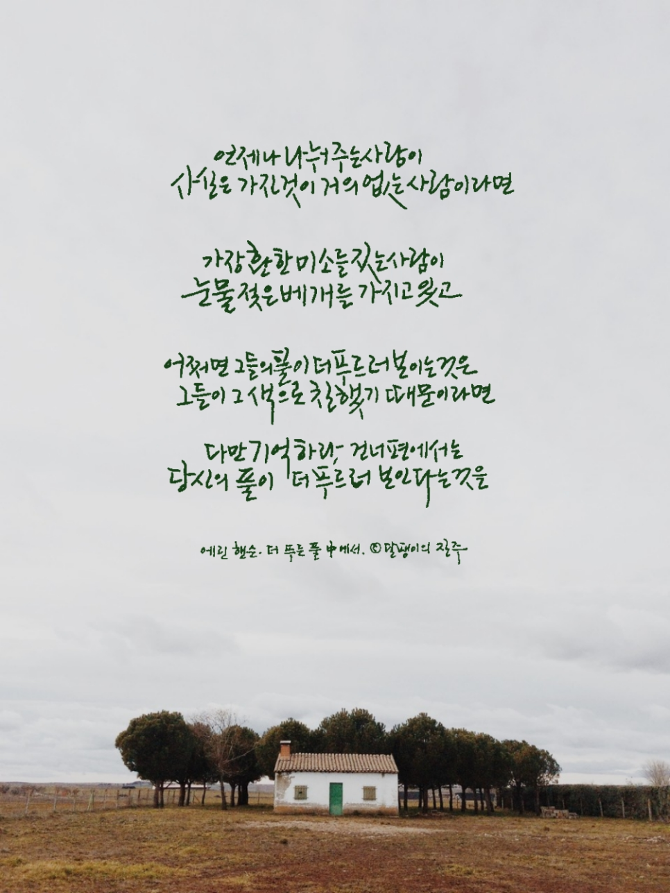 더푸른 이미지