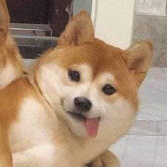 파스타앤샐러드 이미지