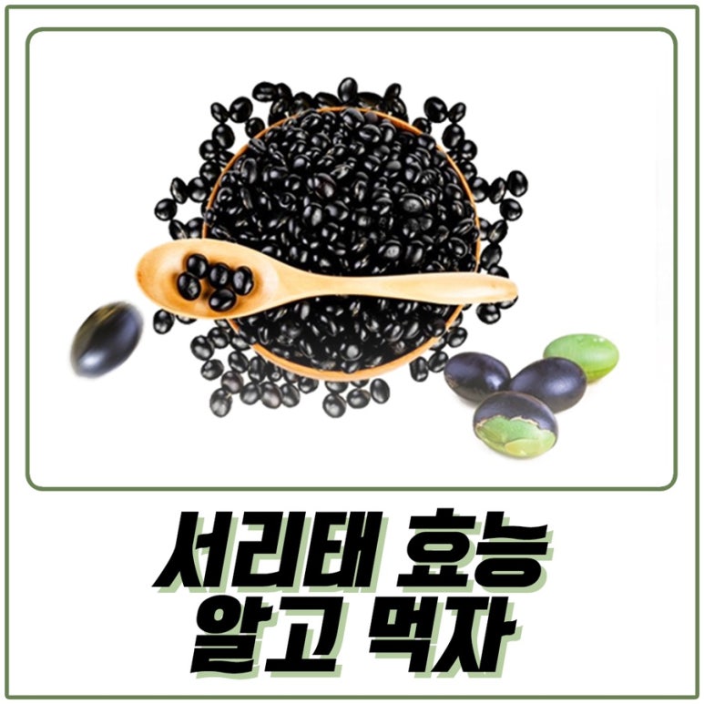 까만콩 이미지