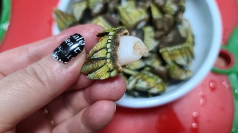 라크렘 이미지