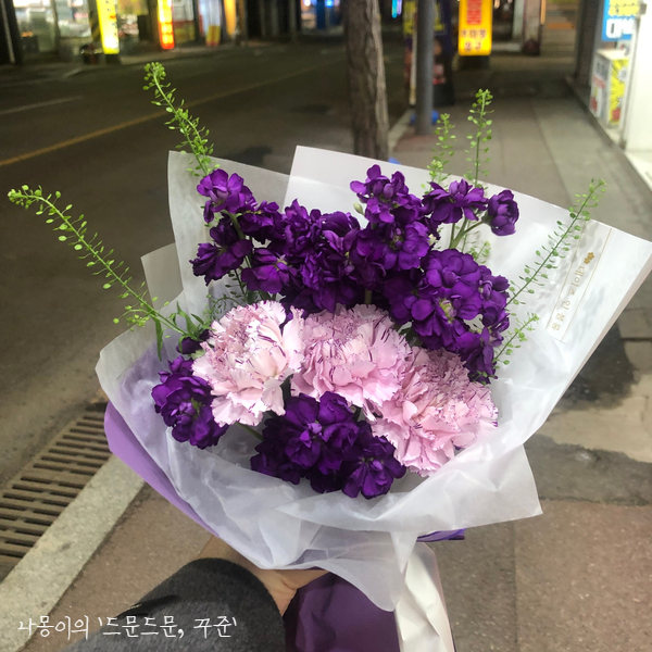 데이즈인블룸 이미지