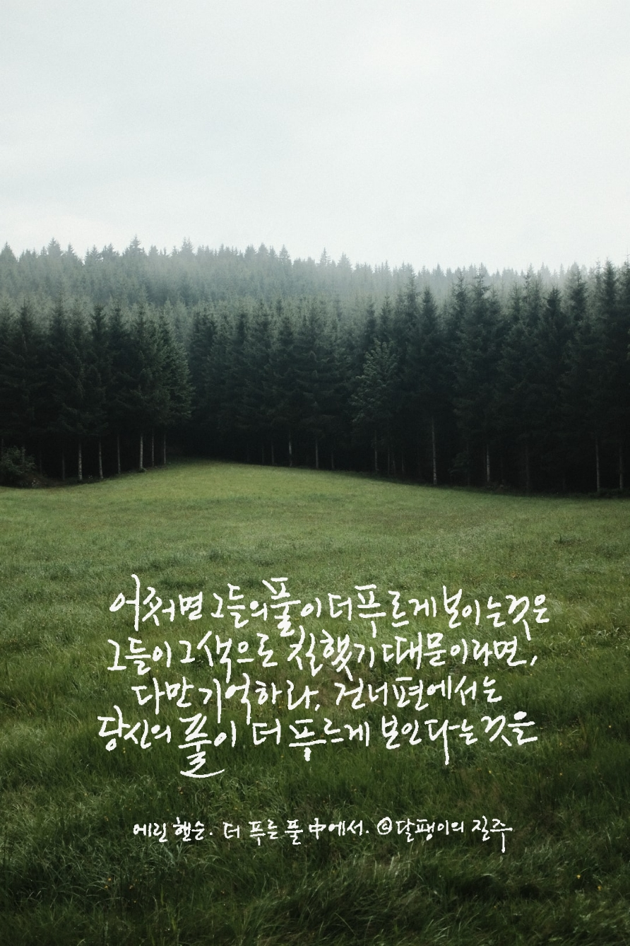 더푸른 이미지